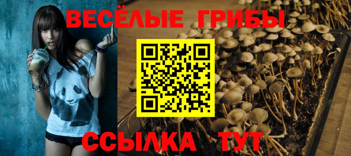 Армавир  Галлюциногенные грибы мицелий  Вход с VPN 